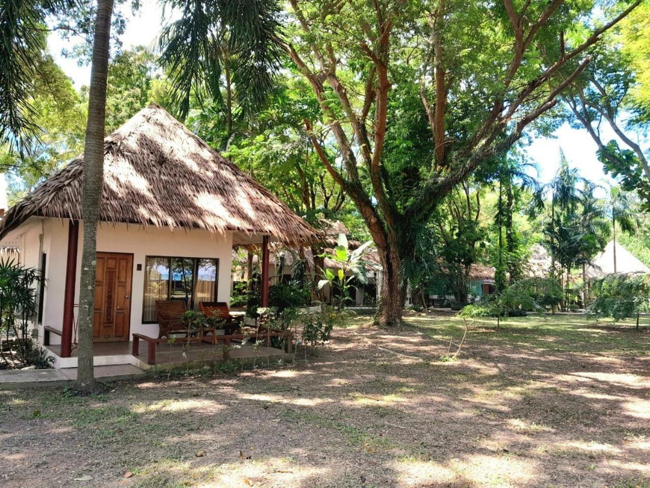 Twin Bay קו לנטה